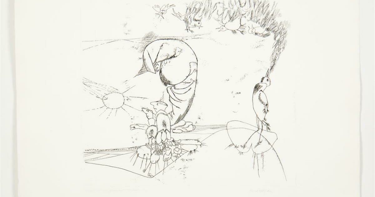 stoned als een garnaal Museum van Bommel van Dam